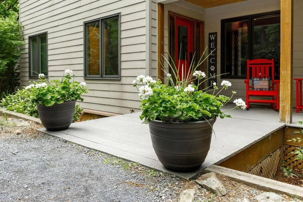 Bluebird Mountain Home Mount Torry Furnace Exterior photo